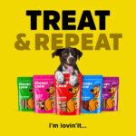 Scooby Chew Beef Jerky : Dog Treats-All Size - Image 5
